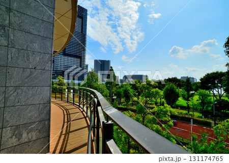 豊洲公園から観た晴海臨海公園 高層マンションの風景 豊洲公園から観た晴海臨海公園 高層マンションの風景 131174765