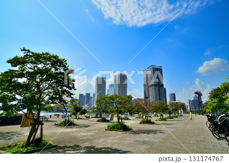 豊洲公園から観た晴海臨海公園　高層マンションの風景 131174767