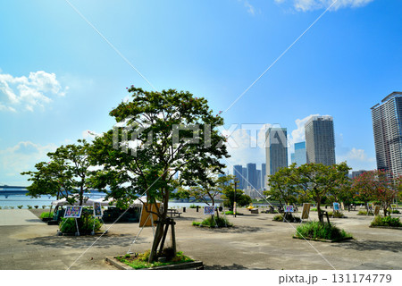 豊洲公園から観た晴海臨海公園 高層マンションの風景 豊洲公園から観た晴海臨海公園 高層マンションの風景 131174779