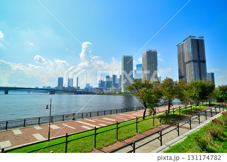 豊洲公園から観た晴海臨海公園　高層マンションの風景 131174782