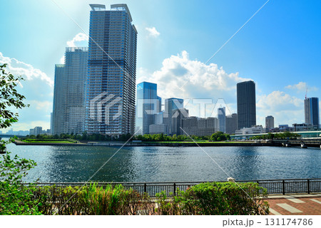 豊洲公園から観た晴海臨海公園 高層マンションの風景 豊洲公園から観た晴海臨海公園 高層マンションの風景 131174786