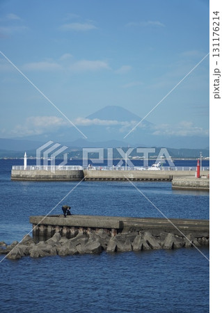 南足柄 南足柄市 山北町 131176214