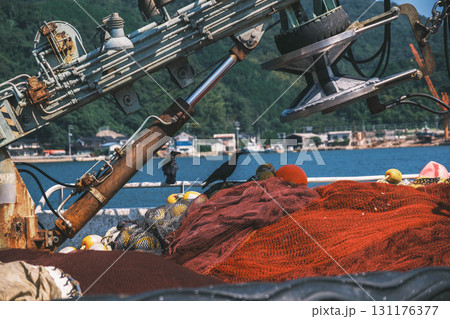 [境港]漁船の船上で休憩するカラス 131176377