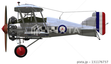 グロスター ゲームコック 131176737