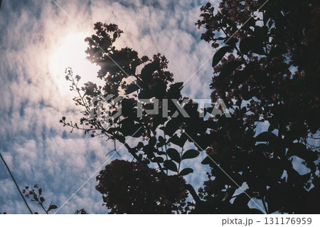 [水木しげるロード]太陽の光が眩しい風景 131176959