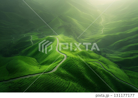 A winding river flows through a lush green valley, surrounded by misty mountains and dense forest 131177177
