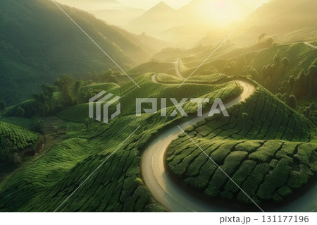 A winding river flows through a lush green valley, surrounded by misty mountains and dense forest 131177196