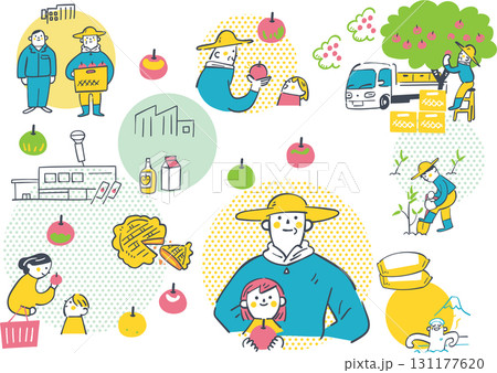 リンゴ農家の出荷と流通の仕組み　経済学習向けイラスト素材 131177620