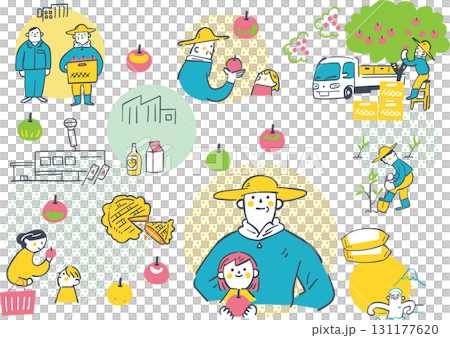 リンゴ農家の出荷と流通の仕組み　経済学習向けイラスト素材 131177620