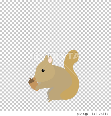 どんぐりを持ったリスのイラスト どんぐりを持ったリスのイラスト 131178115