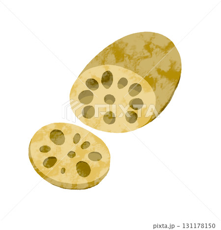 れんこん 131178150