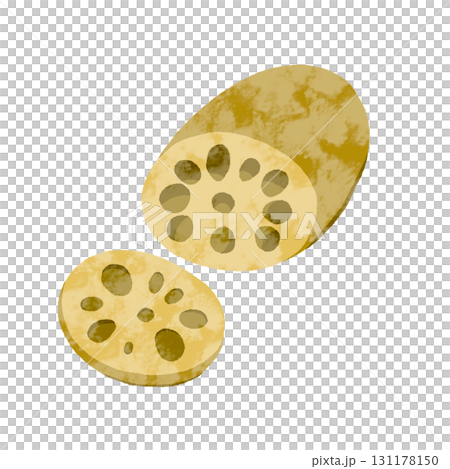 れんこん 131178150