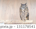 止まり木に止まるかっこいい梟 131178541