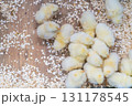 黄色いもふもふのひよこたち 131178545