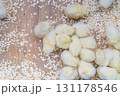 黄色いもふもふのひよこたち 131178546