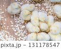 黄色いもふもふのひよこたち 131178547