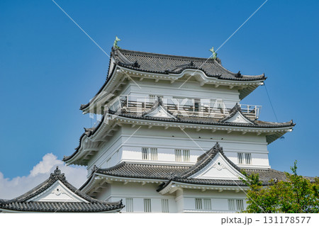 神奈川県　小田原城　天守閣 131178577