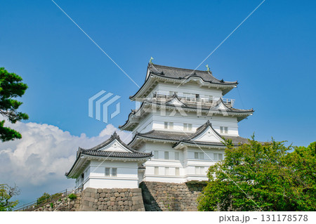 神奈川県　小田原城　天守閣 131178578