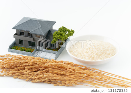 ミニチュアの家と白米と稲 131178583