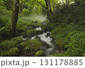 ブナの森　奥大山　木谷沢渓流　天然水のロケ地。 131178885