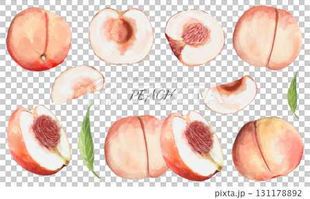 水彩桃子向量插圖集 131178892