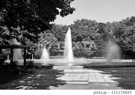 勢いよく噴き上がる公園の噴水「千歳青葉公園」白黒 131178895