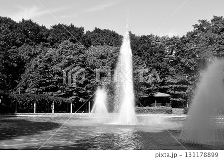 勢いよく噴き上がる公園の噴水「千歳青葉公園」白黒 勢いよく噴き上がる公園の噴水「千歳青葉公園」白黒 131178899
