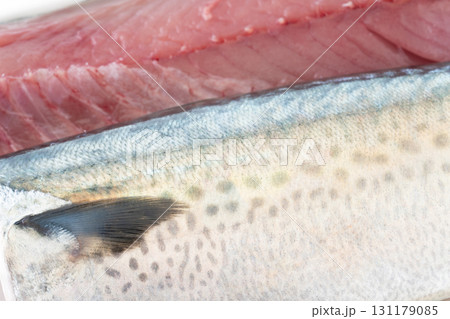 ゴマサバの切り身のクローズアップ 131179085