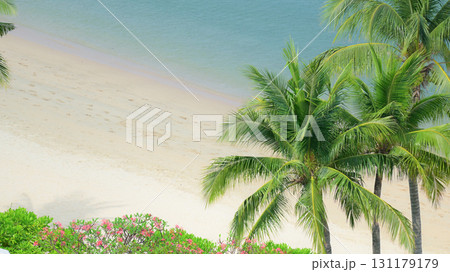 beautiful beach with palm tree and white sand in summertime beautiful beach with palm tree and white sand in summertime 131179179