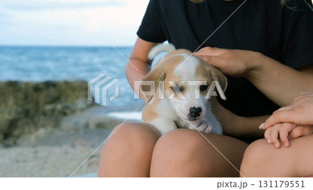 Mother and daughters enjoy time together with puppy on shore surrounded by summer sun and waves  131179551
