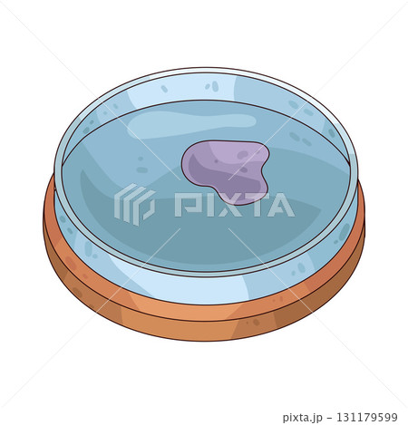 illustration of petri dish illustration of petri dish 131179599