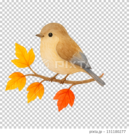 水彩畫：一隻小鳥棲息在秋葉的枝頭。可愛的秋季野鳥PNG剪紙。 131180277