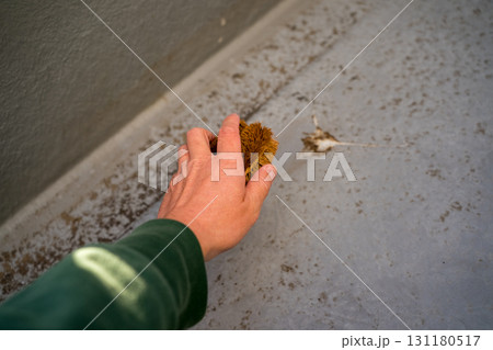 バルコニーの床に付着した鳥のふんを除去する 131180517