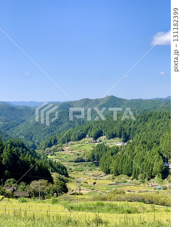 青空と山林の緑に映える、秋の収穫(稲刈り)が始まった黄金色の棚田〈四谷千枚田展望台/愛知県新城市〉 131182399