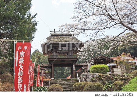 山口県宇部市にある曹洞宗寺院瑞松庵桜と茅葺の山門 131182502
