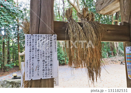 山口県山陽小野田市にある吉部田八幡宮に奉納された稲束 131182531
