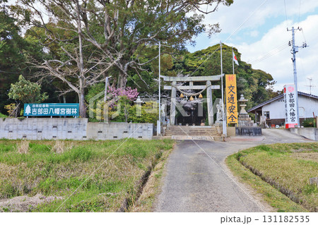 山口県山陽小野田市にある吉部田八幡宮参道と鳥居 131182535