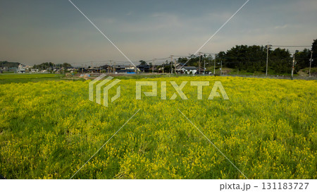 view through the field in Japan village view through the field in Japan village 131183727