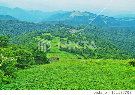 日光市霧降高原キスゲ平園地から見る風景(夏、七月) 日光市霧降高原キスゲ平園地から見る風景(夏、七月) 131183798