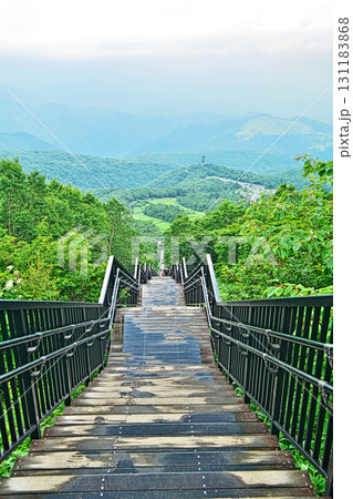 日光市霧降高原キスゲ平園地の天空回廊(下り)(夏、七月) 日光市霧降高原キスゲ平園地の天空回廊(下り)(夏、七月) 131183868