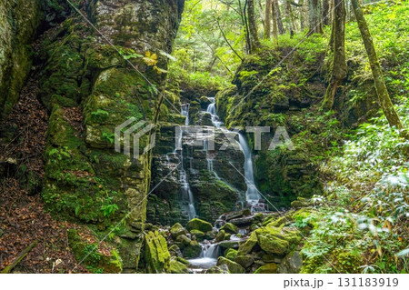 静寂に包まれた蓼仙(りょうせん)の滝の情景 静寂に包まれた蓼仙(りょうせん)の滝の情景 131183919