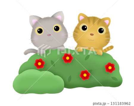 2匹の猫 2匹の猫 131183962