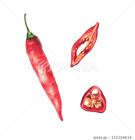 Red hot chili pepper, whole and cut pods round sliced with seeds. Spicy vegetable food spices set. Watercolor hand drawn illustration isolated from background for labelling sauces design, menu, recipe 131184614