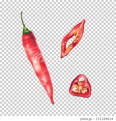 Red hot chili pepper, whole and cut pods round sliced with seeds. Spicy vegetable food spices set. Watercolor hand drawn illustration isolated from background for labelling sauces design, menu, recipe 131184614
