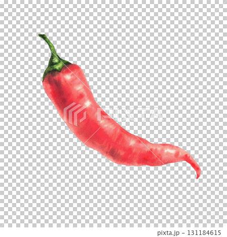 Hot chili pepper. Red whole vegetable and spicy spices. Watercolor hand drawn watercolor realistic illustration isolated from background for food, sauces label design, logo, restaurant, menu, recipe. Hot chili pepper. Red whole vegetable and spicy spices. Watercolor hand drawn watercolor realistic illustration isolated from background for food, sauces label design, logo, restaurant, menu, recipe. 131184615