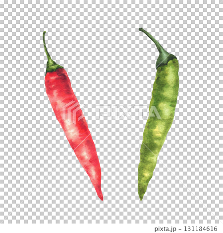 Red chilli pepper. Green and red whole vegetables. Watercolor hand drawn illustrations. Fresh organic two cayenne peppers spice for food. Illustration for menu, recipe label. Isolated from background Red chilli pepper. Green and red whole vegetables. Watercolor hand drawn illustrations. Fresh organic two cayenne peppers spice for food. Illustration for menu, recipe label. Isolated from background 131184616
