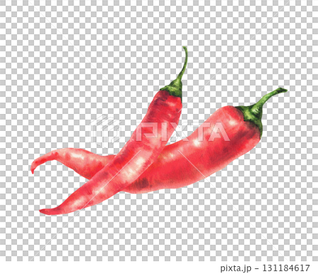 Red hot chili pepper watercolor hand drawn illustration. Fresh raw organic two cayenne peppers realistic clipart. Spicy vegetables for food spices label, sauces, menu, recipe. Isolated from background Red hot chili pepper watercolor hand drawn illustration. Fresh raw organic two cayenne peppers realistic clipart. Spicy vegetables for food spices label, sauces, menu, recipe. Isolated from background 131184617