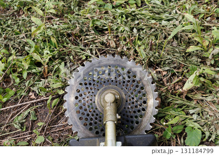 草刈りイメージ 131184799