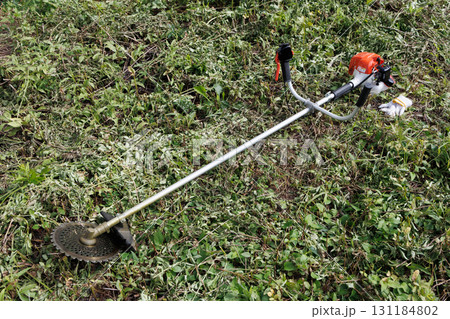 草刈りイメージ 131184802