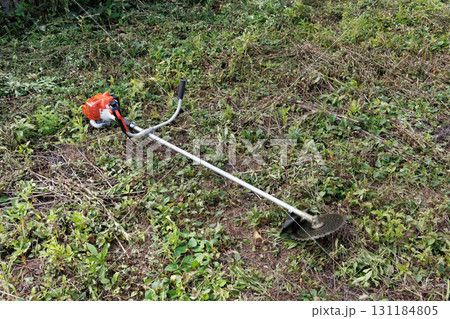 草刈りイメージ 131184805